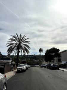 una calle con coches aparcados y una palmera en Cool Coastal OB Life, en San Diego