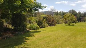 a grassy field with trees and bushes in a park at Mangawhai Heads apartment in Mangawhai
