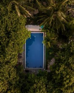 an overhead view of a swimming pool surrounded by trees at C Beyond Nilaveli in Nilaveli