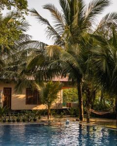 a swimming pool with palm trees in front of a house at C Beyond Nilaveli in Nilaveli