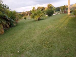 a large yard with green grass and palm trees at Sítio Santa Cecília in Itapetininga