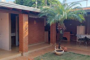 a palm tree in a pot next to a house at Casa/Sobrado em Araraquara-SP in Araraquara