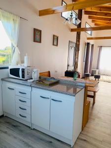 eine Küche mit einer Arbeitsplatte und einer Mikrowelle in der Unterkunft Cabaña Raihuè Austral in Puerto Montt