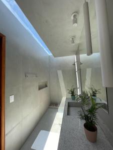 Zimmer mit Pflanzen und einer Decke mit Licht in der Unterkunft Casa Maçunim 2 in Pôrto de Pedras