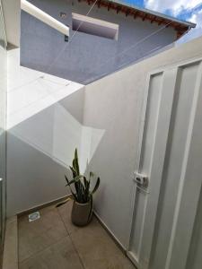 una planta sentada junto a una pared blanca con una puerta en Apt C com 2 quarto com ar e garagem en Montes Claros
