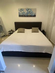ein Schlafzimmer mit einem großen Bett mit zwei Kissen in der Unterkunft Villa Marion in San Fulgencio