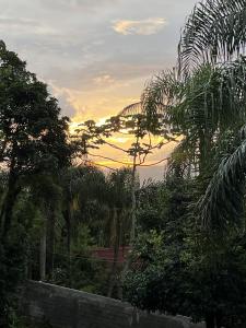 vistas a la puesta de sol desde un jardín con palmeras en Natural Forest en Praia do Rosa