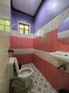 ein Bad mit einem WC und einem Waschbecken in der Unterkunft Xylla Guesthouse in Siquijor