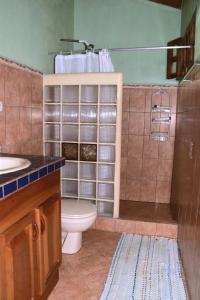 a bathroom with a toilet and a sink and a shower at Osa House - Drake Bay in Drake