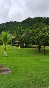 einen Park mit Palmen und einem Wasserkörper in der Unterkunft Casa Laranja in Angra dos Reis