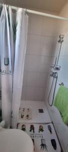 a bathroom with a spiderweb shower curtain and a toilet at Habitacion Nofal - Pleno Centro in Los Vilos