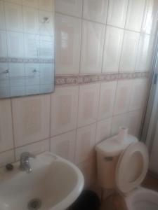 ein weißes Bad mit einem WC und einem Waschbecken in der Unterkunft Cabañas Laguna Seca 