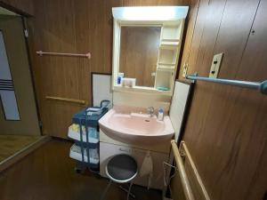 a bathroom with a sink and a toilet and a mirror at 福井駅から徒歩2分の1棟貸切民泊 最低限 in Fukui