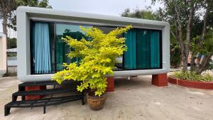 un pequeño árbol en una olla al lado de un edificio en Pattaya Golden view pool villa, en Ban Nong Srah