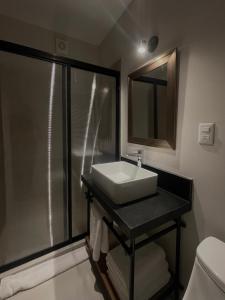 ein Bad mit einem Waschbecken und einer Dusche in der Unterkunft Homa Lofts in Colima