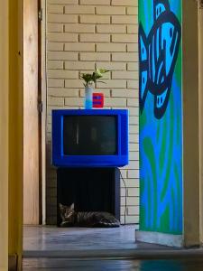 un gato tirado en el suelo junto a una TV en Hostel Aruanda en Belo Horizonte