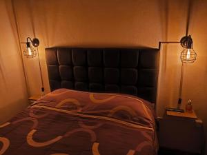 ein Schlafzimmer mit einem Bett mit zwei Leuchten in der Unterkunft Alojamiento Donatello in Durazno