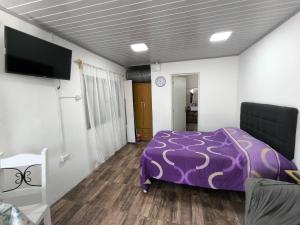 a bedroom with a purple bed and a flat screen tv at Alojamiento Donatello in Durazno