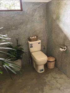 Baño pequeño con aseo y planta en Villa AMMA 2 quartos c/Jacuzzi, en Ahangama