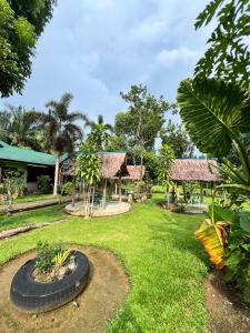 un jardín con un neumático en medio de un patio en Wisma Batu Mandi and offers jungle tours en Bukit Lawang