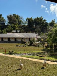 Fotografie z fotogalerie ubytování Baan Daeng Resort บ้านรักไทย v destinaci Ban Rak Thai + 29 fotografií