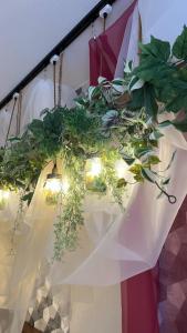 a table with lights and plants on it at TAPSTAY HOTEL - Vacation STAY 35241v in Saga