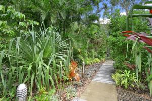 una pasarela a través de un jardín con plantas y árboles en Tea Trees Apartment 4, Little Cove, en Noosa Heads