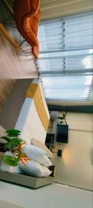 Gallery image of Mangolia Farm in San Juan