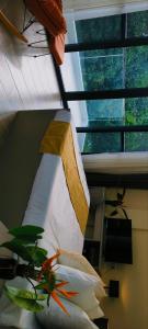 Gallery image of Mangolia Farm in San Juan