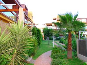 a garden with a palm tree next to a building at Apartamento en Playa Flamenca (residencial El Bosque) in Playas de Orihuela