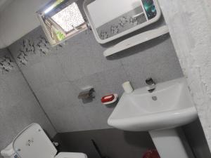 a small bathroom with a sink and a toilet at Enoch Guest House in Mannar