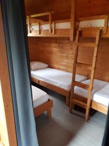 een kamer met 2 stapelbedden en een ladder bij Blokhut in Putten