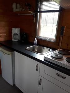 a kitchen with a sink and a stove at Blokhut in Putten