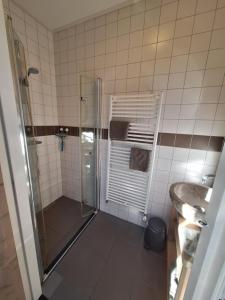 een badkamer met een douche en een wastafel bij Studio Augustinus in Vrouwenpolder