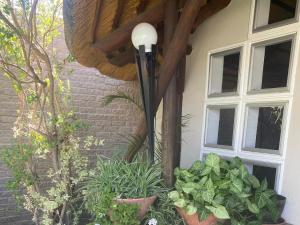 Billede fra billedgalleriet på Bird's Nest Guest House i Keetmanshoop