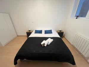 1 dormitorio con 1 cama con 2 toallas en Le Lavoisier, en Grenoble