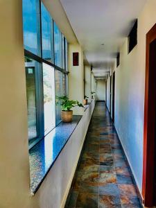 un pasillo de un edificio con una maceta en Hotel Suryadev en Pālampur