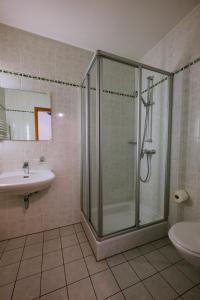 een badkamer met een douche en een wastafel bij Stadtplatz23 B&B in Bogen