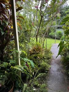 un jardin avec des plantes et un sentier de randonnée dans l'établissement The singing frogs studio, à Coffs Harbour