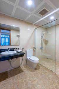 ein Bad mit einem WC, einem Waschbecken und einer Dusche in der Unterkunft Trang An International Hotel in Ninh Bình