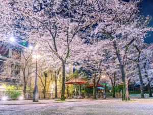 Fotografie z fotogalerie ubytování THE BLOSSOM KYOTO v Kjótu