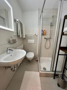 a bathroom with a sink and a toilet and a shower at Studio an der Elbe mit Balkon, Küche und Netflix in Dresden