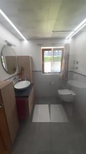 uma casa de banho com um lavatório, um WC e um espelho. em Ferienwohnung Gilch em Oberwössen
