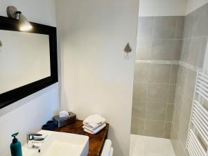 een badkamer met een wastafel en een douche met een spiegel bij Le Credo in Collonges