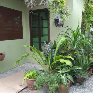 a group of plants in front of a building at Hidden Homestay in Marang