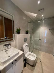 La salle de bains est pourvue de toilettes, d'un lavabo et d'une douche. dans l'établissement Elegance and Comfort, à Christiansborg