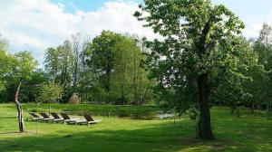 uma fila de bancos num parque com uma árvore em Ferienhaus Spreewaldnostalgie em Burg