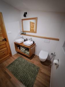 a bathroom with a sink and a toilet and a mirror at CHALUPA U ROUBÍČKŮ in Horní Bečva