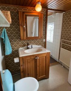 a bathroom with a sink and a mirror at Sövröds Hage in Höör