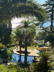 um jardim com palmeiras e uma piscina de água em Villa La Renarde em Le Lavandou
